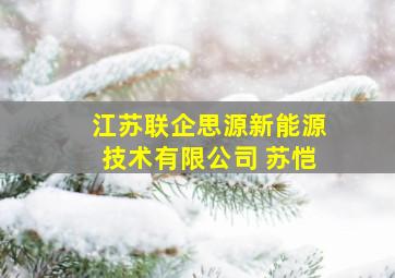 江苏联企思源新能源技术有限公司 苏恺